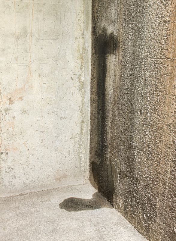 Wet Basement Repair in Grand Rapids, MI